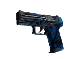 P2000 | Oceanic (Battle-Scarred)